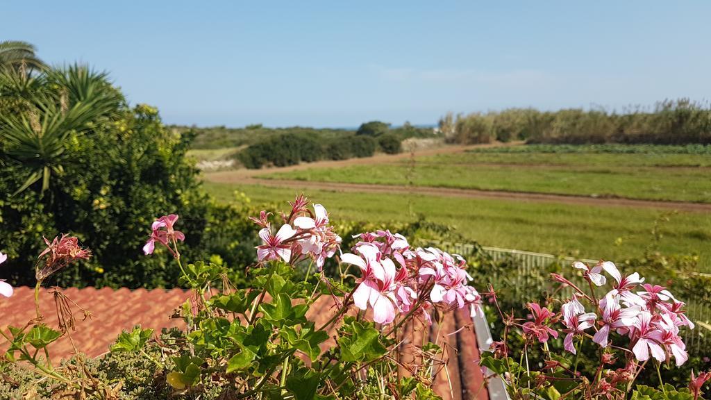 Villa Rosamarina Rosa Marina Exteriör bild